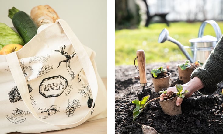 We-doen-alles-wat niet-in-de-boekjes-staat-Afbeeldingen-in-blog