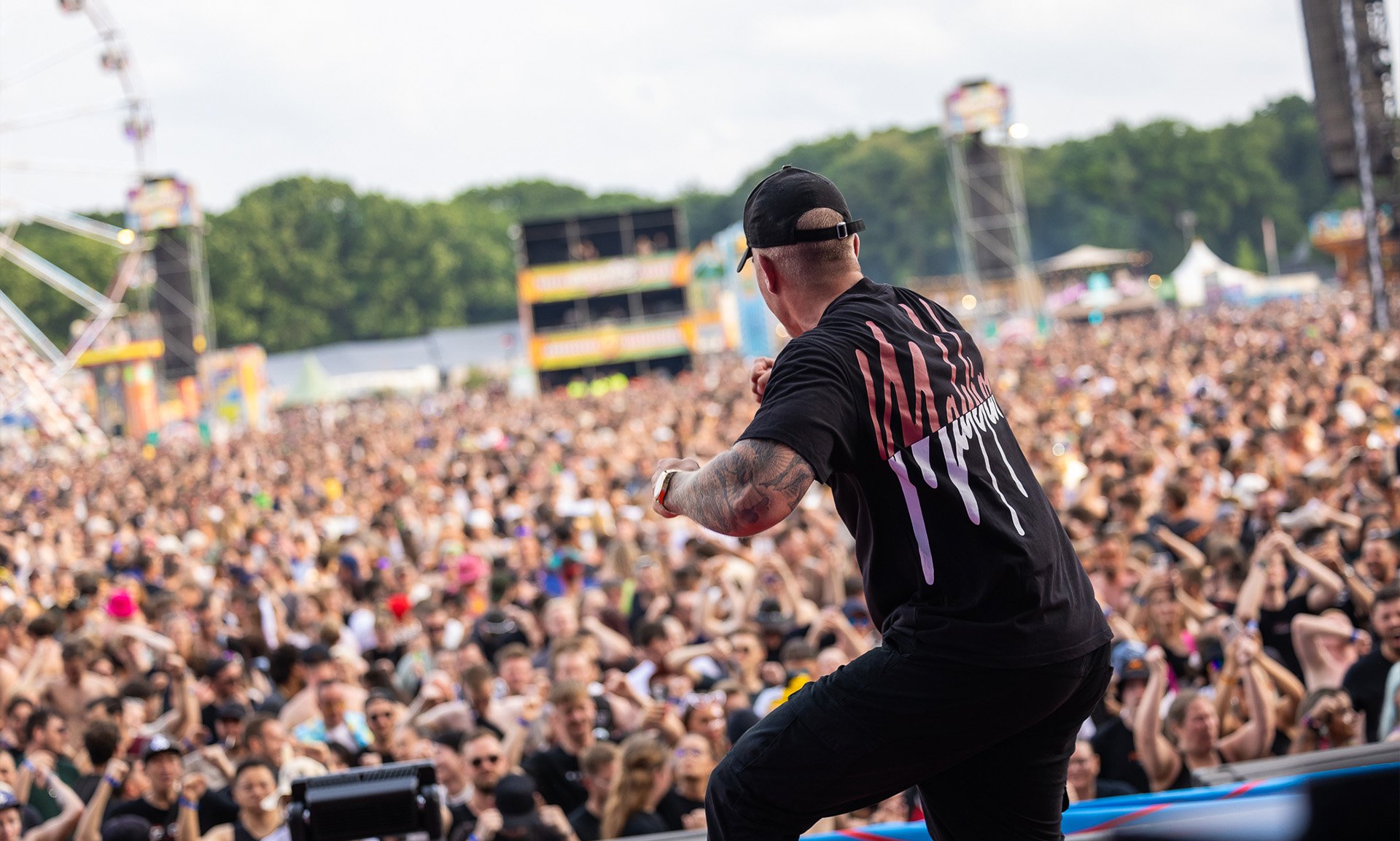 wwv26-malelions-afbeelding-blog