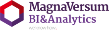 MagnaVersum BI Services